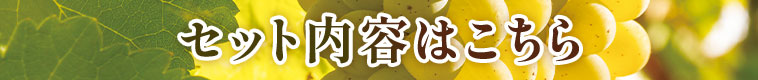 セット内容はこちら