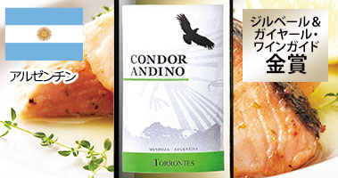 コンドール・アンディーノ・トロンテス’２３