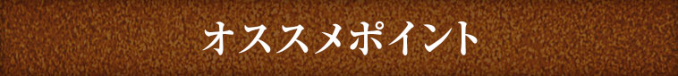 オススメポイント