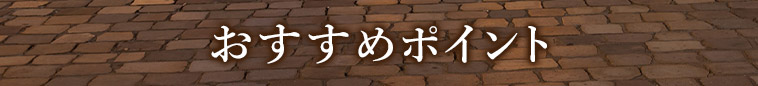 オススメポイント1