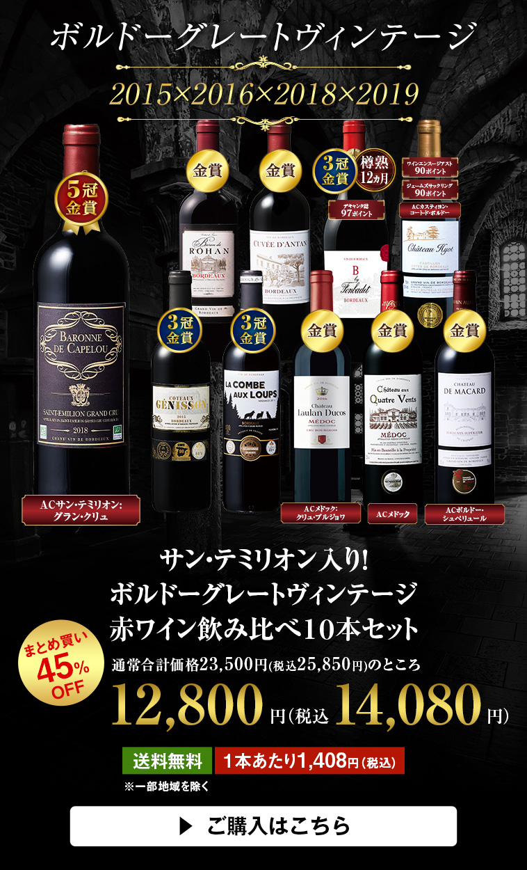 サンテミリオン入り！ボルドーグレートヴィンテージ赤ワイン飲み比べ１０本セット