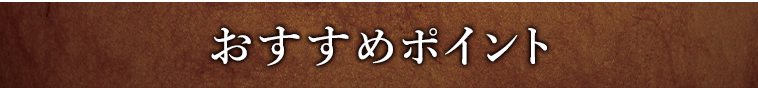 オススメポイント1