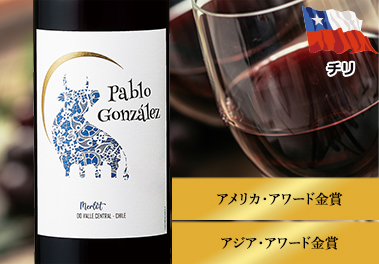 パブロ・ゴンザレス・メルロー