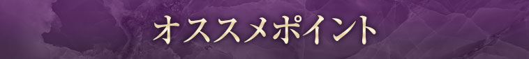 おすすめポイント
