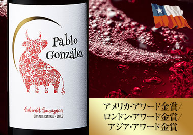 パブロ・ゴンザレス・カベルネ・ソーヴィニヨン