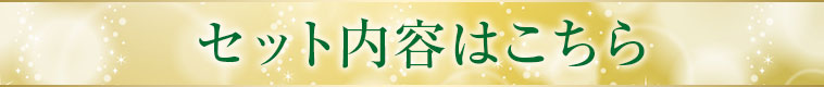 セットの内容はこちら
