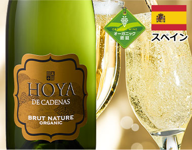 オヤ・デ・カデナス・オーガニック・ブリュット・ナチュレ