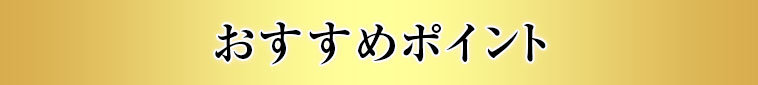 おすすめポイント