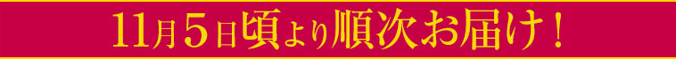 11月５日頃より順次お届け！