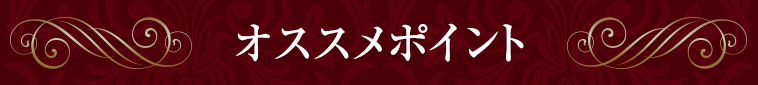 オススメポイント