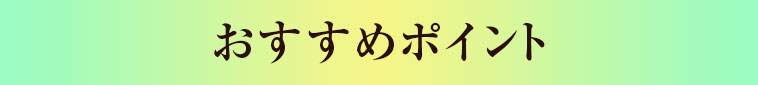 おすすめポイント