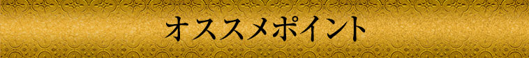 オススメポイント
