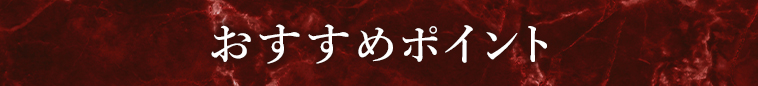 オススメポイント1