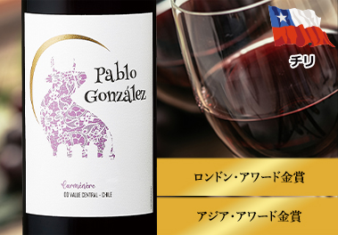 パブロ・ゴンザレス・カルメネール