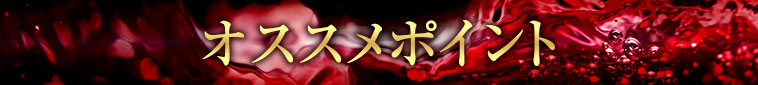 おすすめポイント