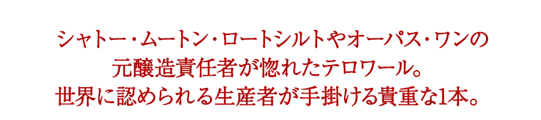 シャトー・ムートン・ロートシルトやオーパス・ワンの元醸造責任者が惚れたテロワール。世界に認められる生産者が手掛ける貴重な1本。