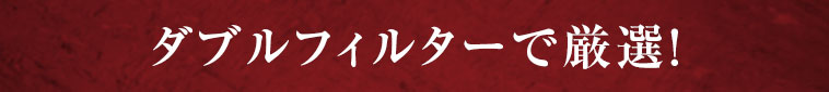 ダブルフィルターで厳選！
