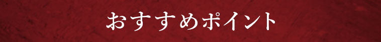 オススメポイント1