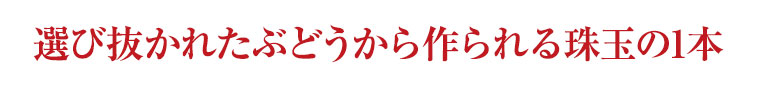 選び抜かれたぶどうから作られる珠玉の1本