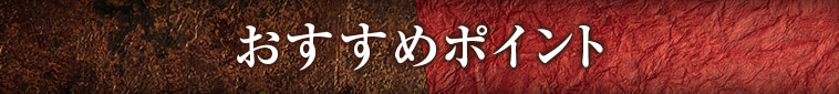 おすすめポイント