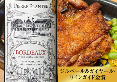 ピエール・プランテ