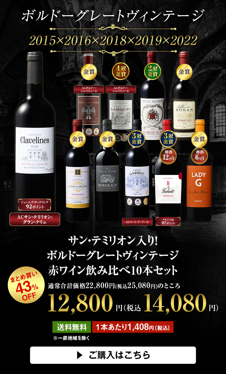 サン・テミリオン入り！ボルドーグレートヴィンテージ赤ワイン飲み比べ10本セット