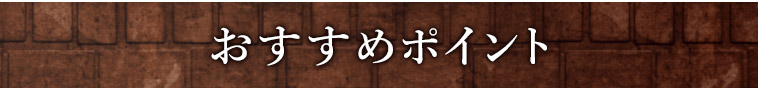オススメポイント1
