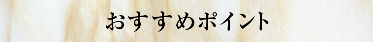 オススメポイント1