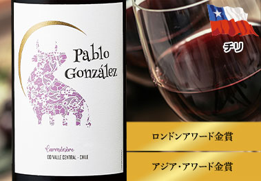 パブロ・ゴンザレス・カルメネール