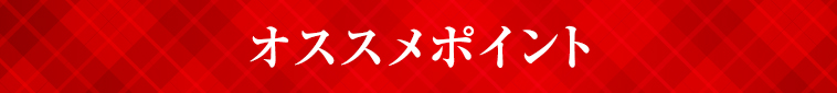 オススメポイント