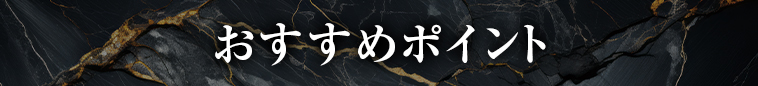 オススメポイント1