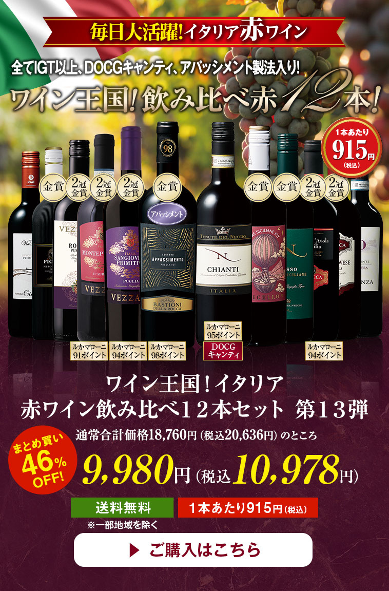 ワイン王国！イタリア赤ワイン飲み比べ１２本セット　第１３弾