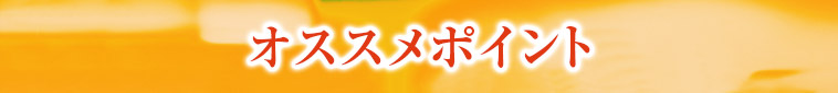 オススメポイント