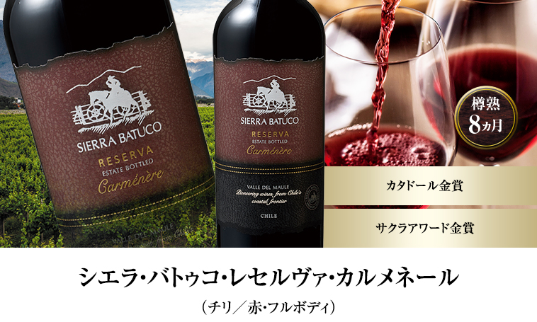 シエラ・バトゥコ・レセルヴァ・カルメネール（チリ／赤・フルボディ）