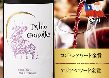 パブロ・ゴンザレス・カルメネール