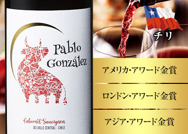 パブロ・ゴンザレス・カベルネ・ソーヴィニヨン