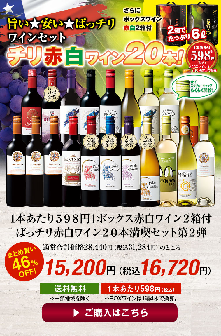 1本あたり５９８円！ボックス赤白ワイン２箱付ばっチリ赤白ワイン２０本満喫セット第２弾