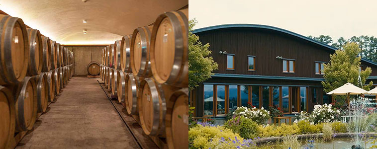 オチガビワイナリー