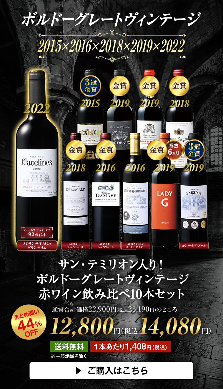サン・テミリオン入り！ボルドーグレートヴィンテージ赤ワイン飲み比べ10本セット