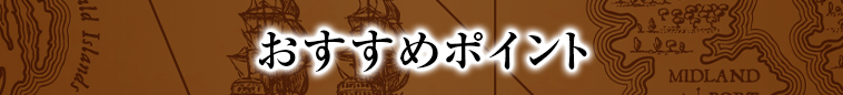 オススメポイント1