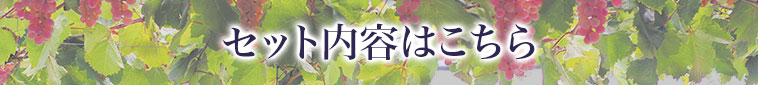 セット内容はこちら