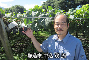 醸造家　中込 茂 氏