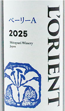 ロリアン・マスカット・ベーリーA2025