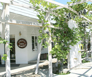 白百合醸造の建物