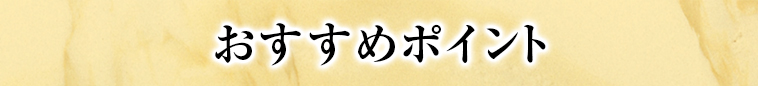 オススメポイント1