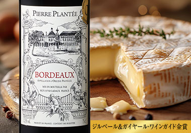 ピエール・プランテ