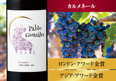 パブロ・ゴンザレス・カルメネール