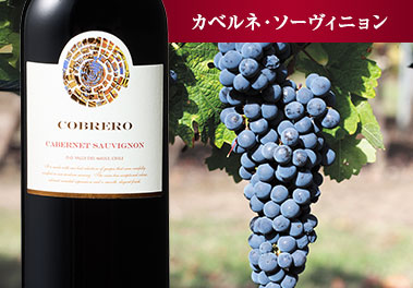 コブレオ・カベルネ・ソーヴィニヨン