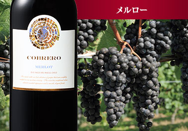 コブレオ・メルロー