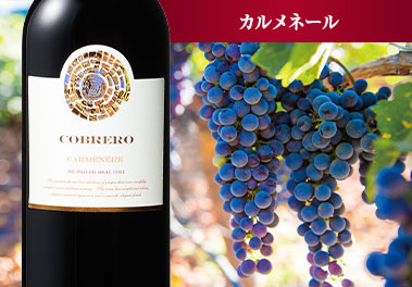 コブレオ・カルメネール